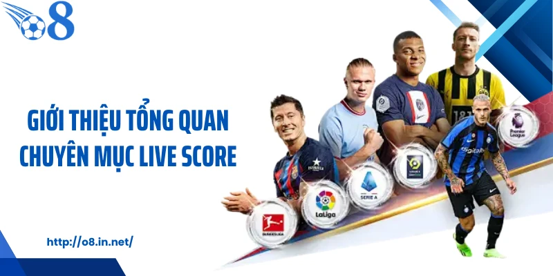 Giới thiệu tổng quan chuyên mục live score